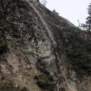 original_87680650_1263204615.jpg