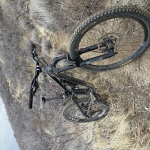 IMG 9564.jpeg?VersionId=fHJ5zdwOYzZ