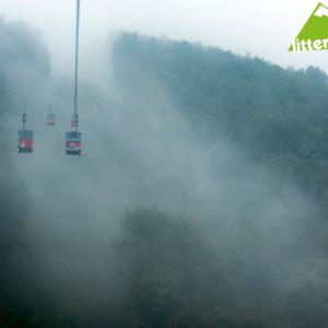 Into the Mist