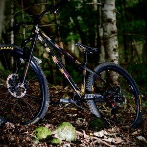 1027420.JPG?VersionId=6rJkyqLMn bkDVRlRhvI5vfq