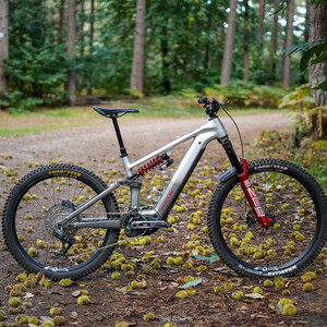 DSC04704 %28stickless%29