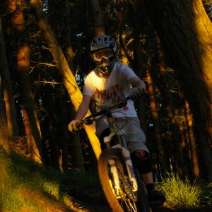 Bonaly
