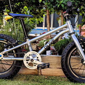 Early Rider Seeker 14 FB