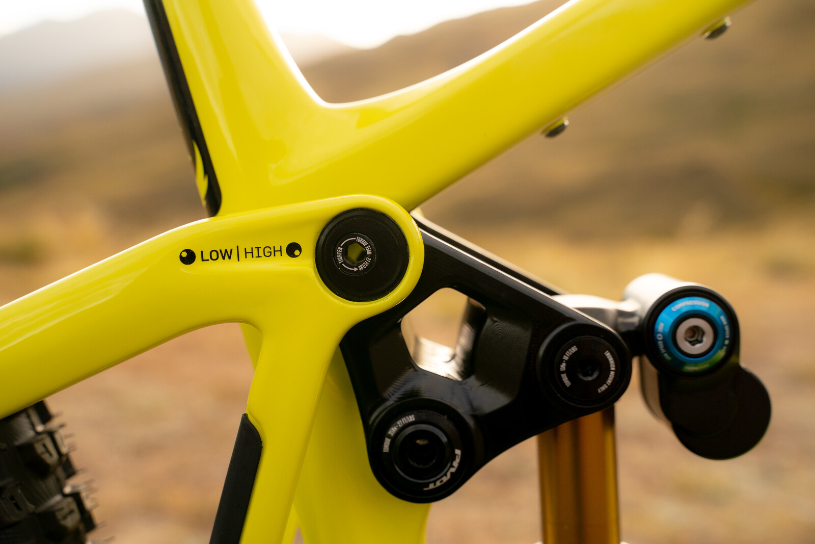 Pivot Launches the All-New Firebird - Mountain Bike Press Release