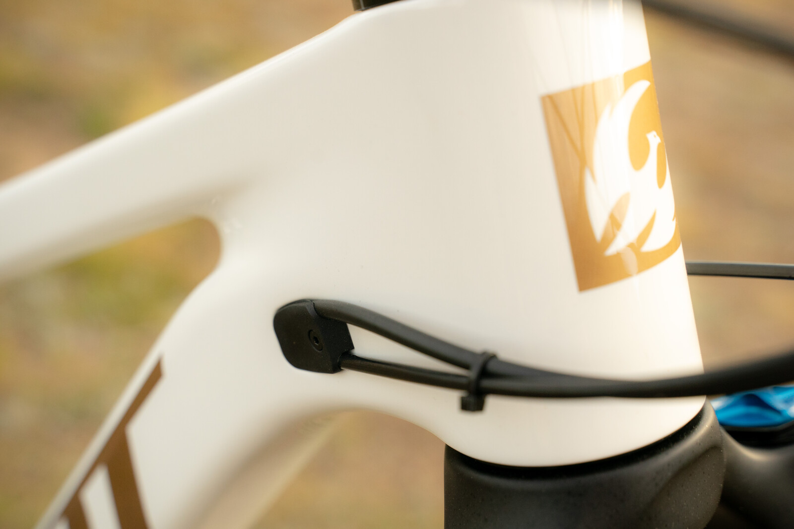 Pivot Launches the All-New Firebird - Mountain Bike Press Release