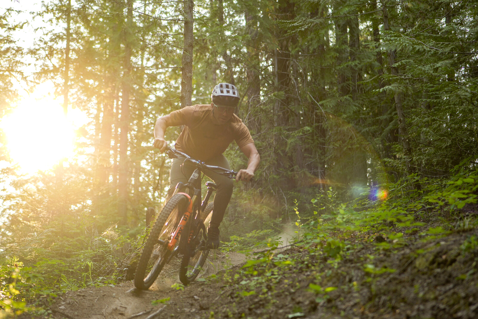 fernie-shirbach-53