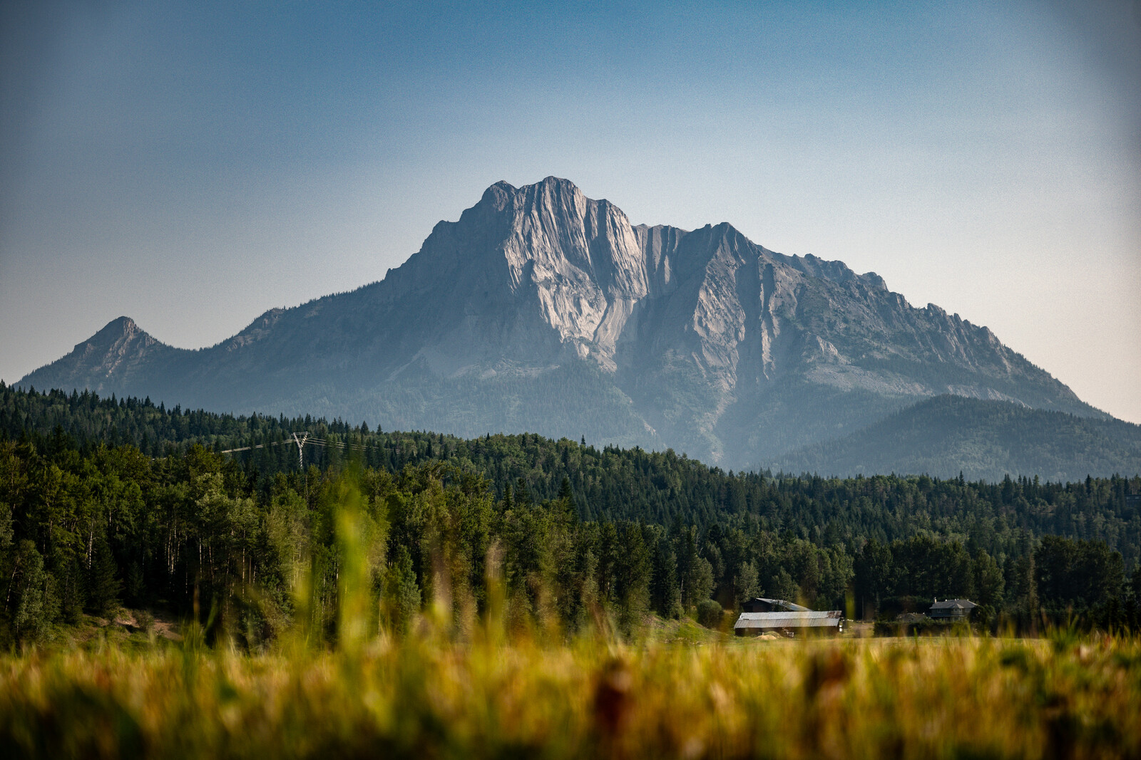 fernie-shirbach-80.jpg?VersionId=i1Rh4UvUu2XT1sZZkn2o6oEeGd8e