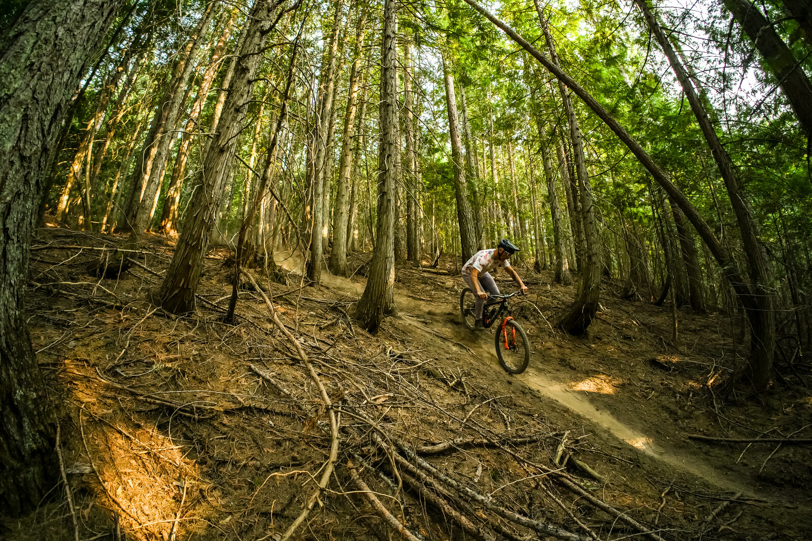 fernie-shirbach-92