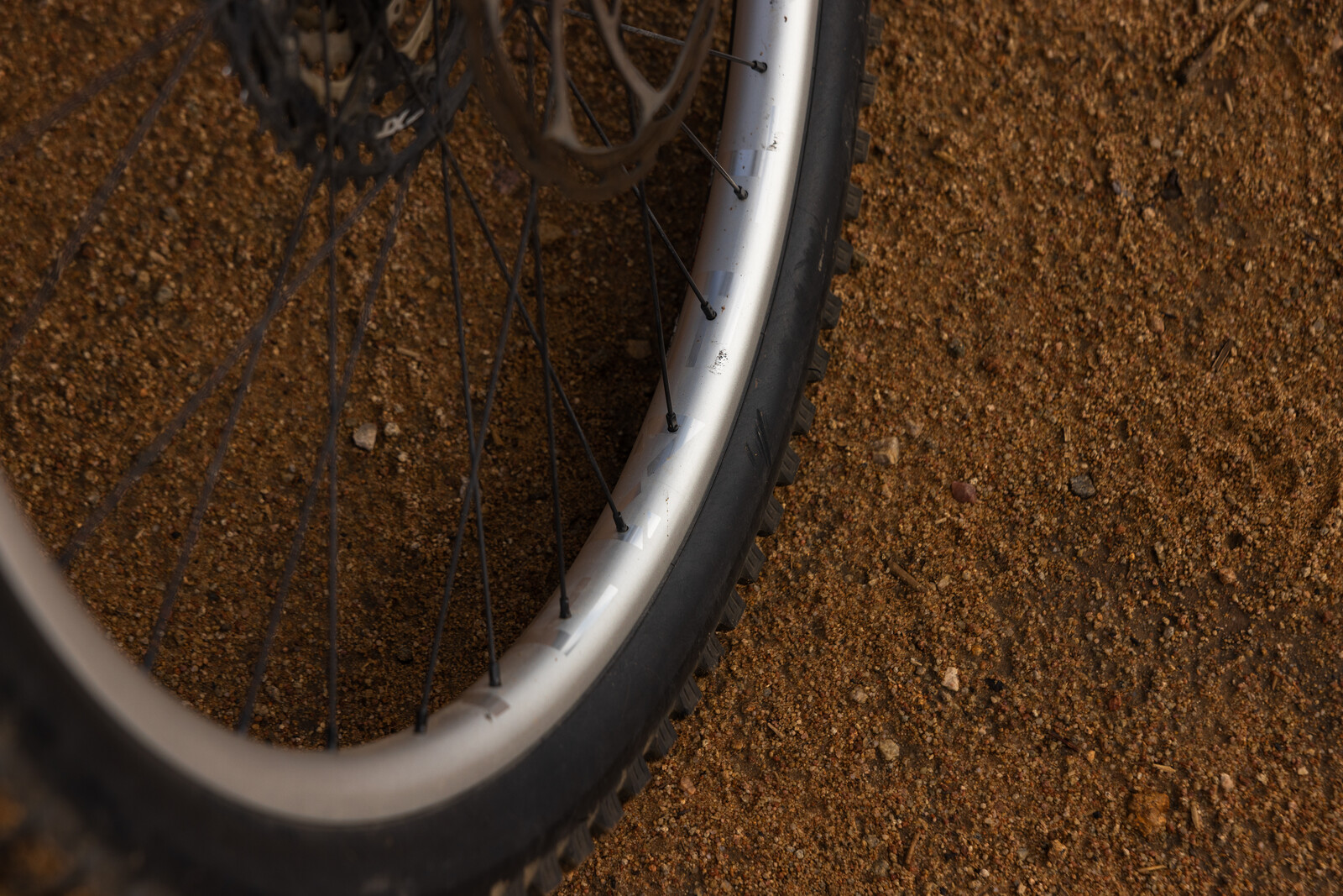 1M5A5151.jpg?VersionId=RfDZgXqdiSy6