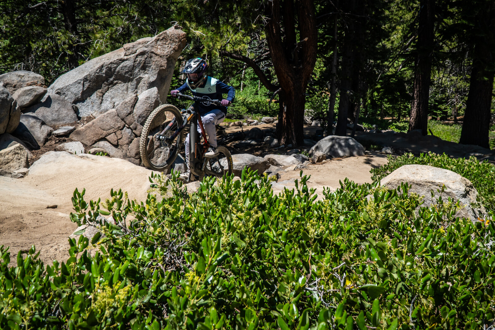 Action-11.jpg?VersionId=GAGsDn38l 7j