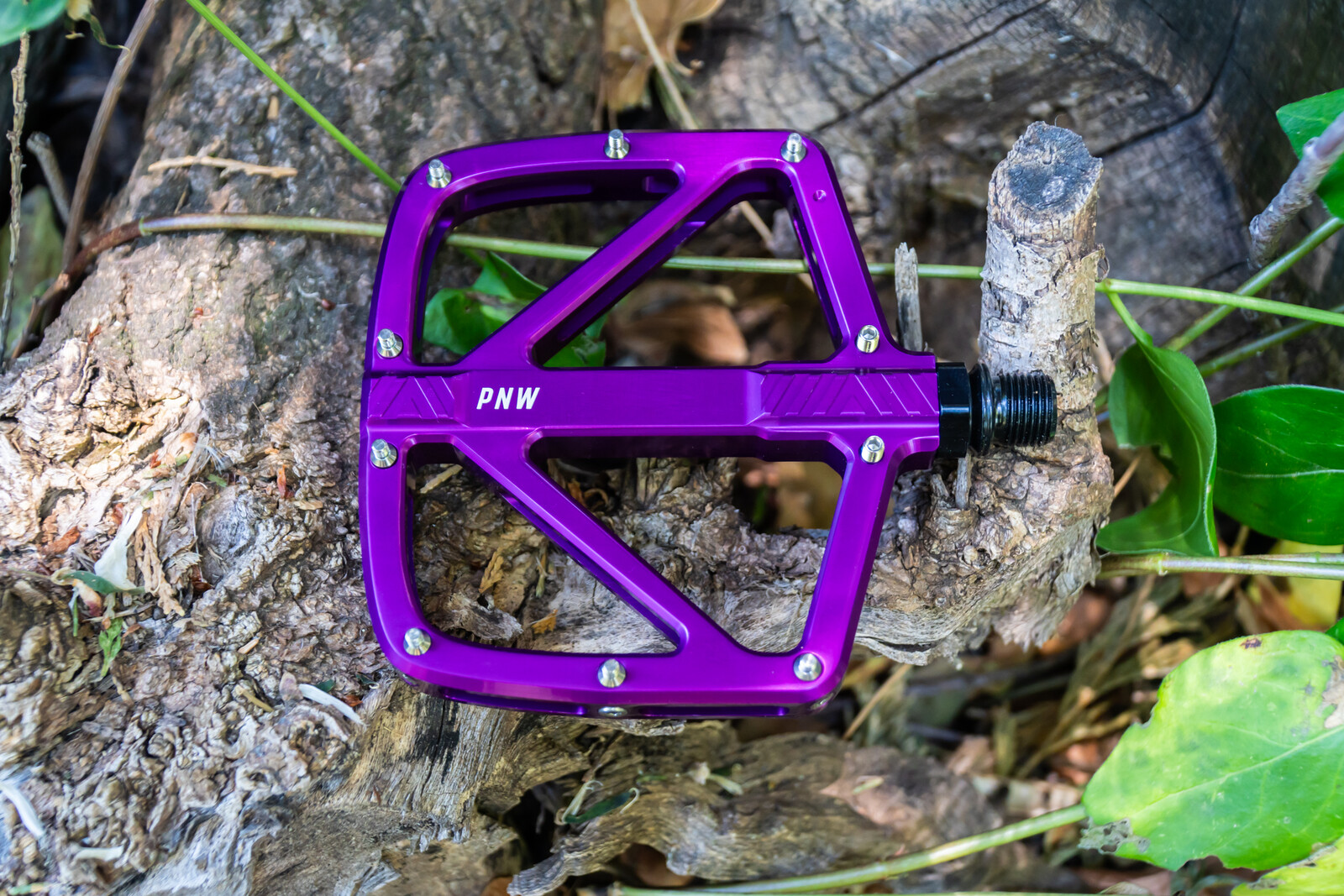 Loam Gen 2-3.jpg?VersionId=U8m8VoGlNPY