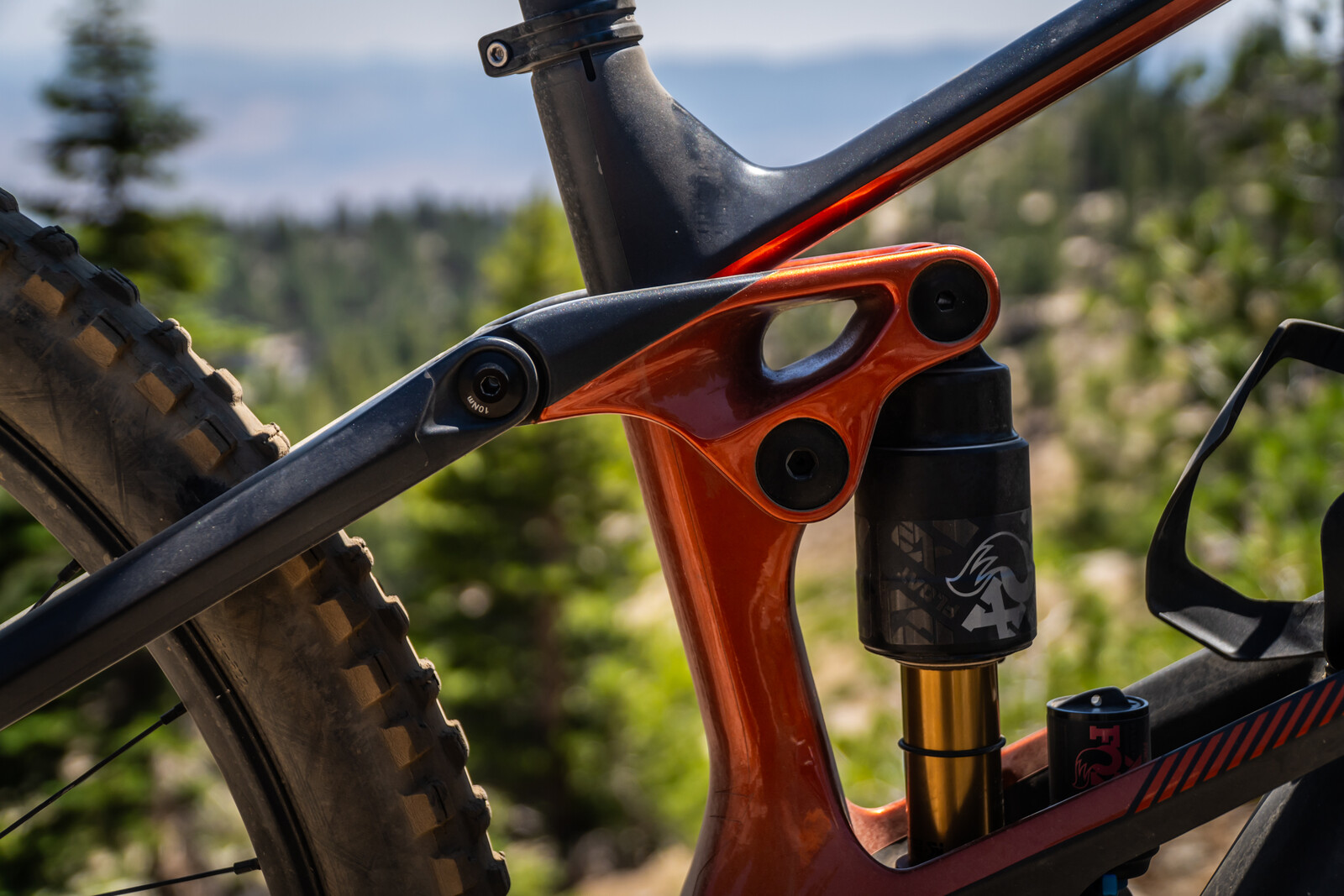 Wild-7.jpg?VersionId=VjP2V94nuuMTrR