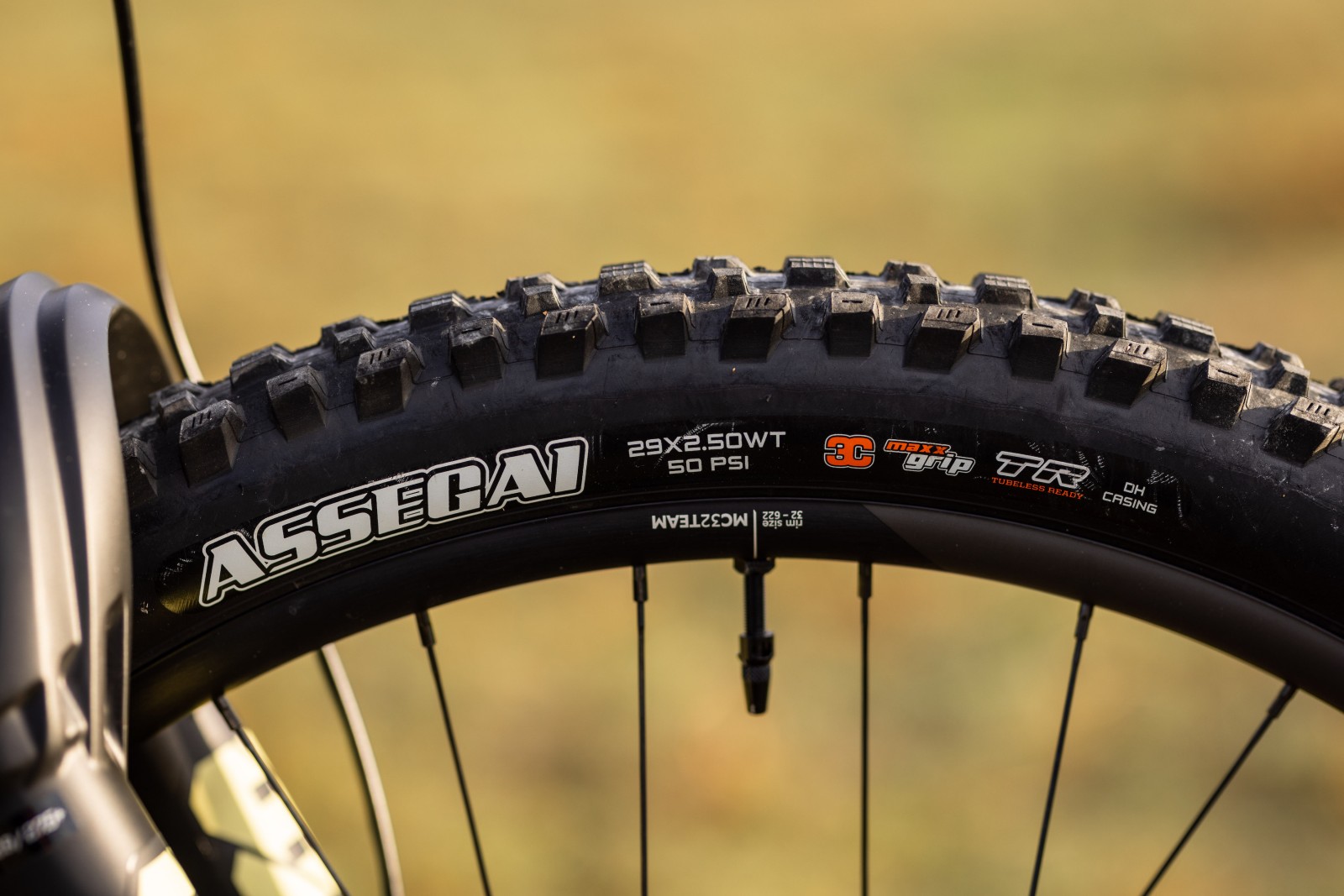 Orbea%20%C2%A9%20Jeremie%20Reuiller-5741.jpg?VersionId=.mQzNEjf_3QaqAlX7NQZpZoDQZLgdhzu&itok=Q2ktD8gD