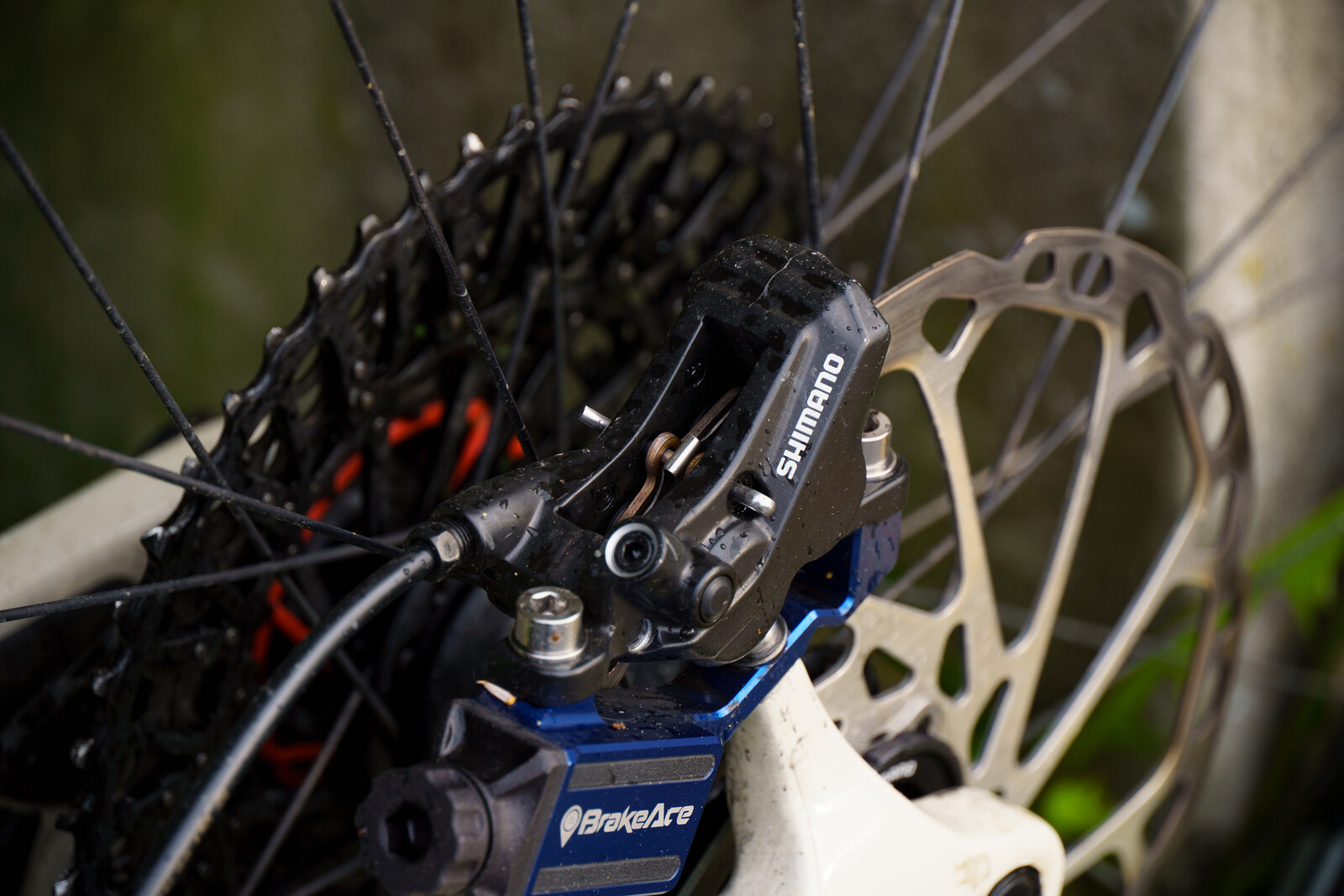 brake test vitalmtb-33