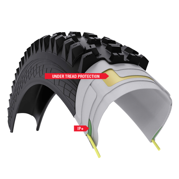SG1 TireCompoundGraphic800px 2 600x