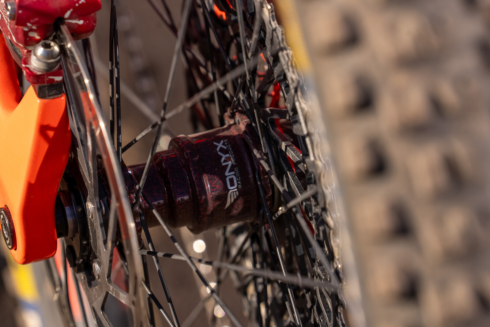 ProBikesHardMTBLeague-017 0.jpg?VersionId=nqYX77rqBn3E0gG.y2RfXCPoULW