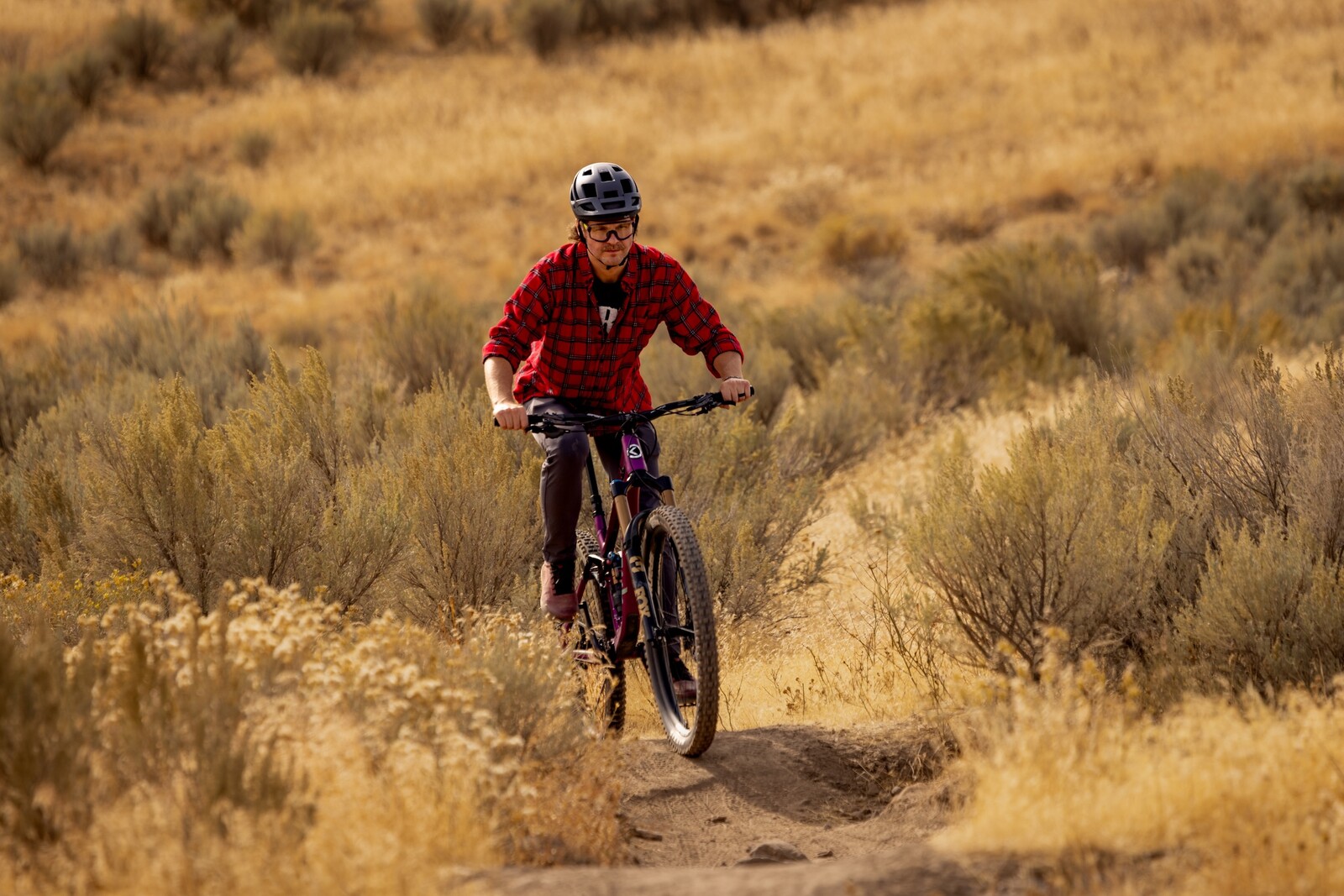 36A1401.jpg?VersionId=UNiEbe1P