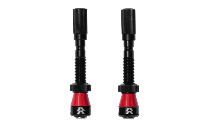 Fillmore Tubeless Valves