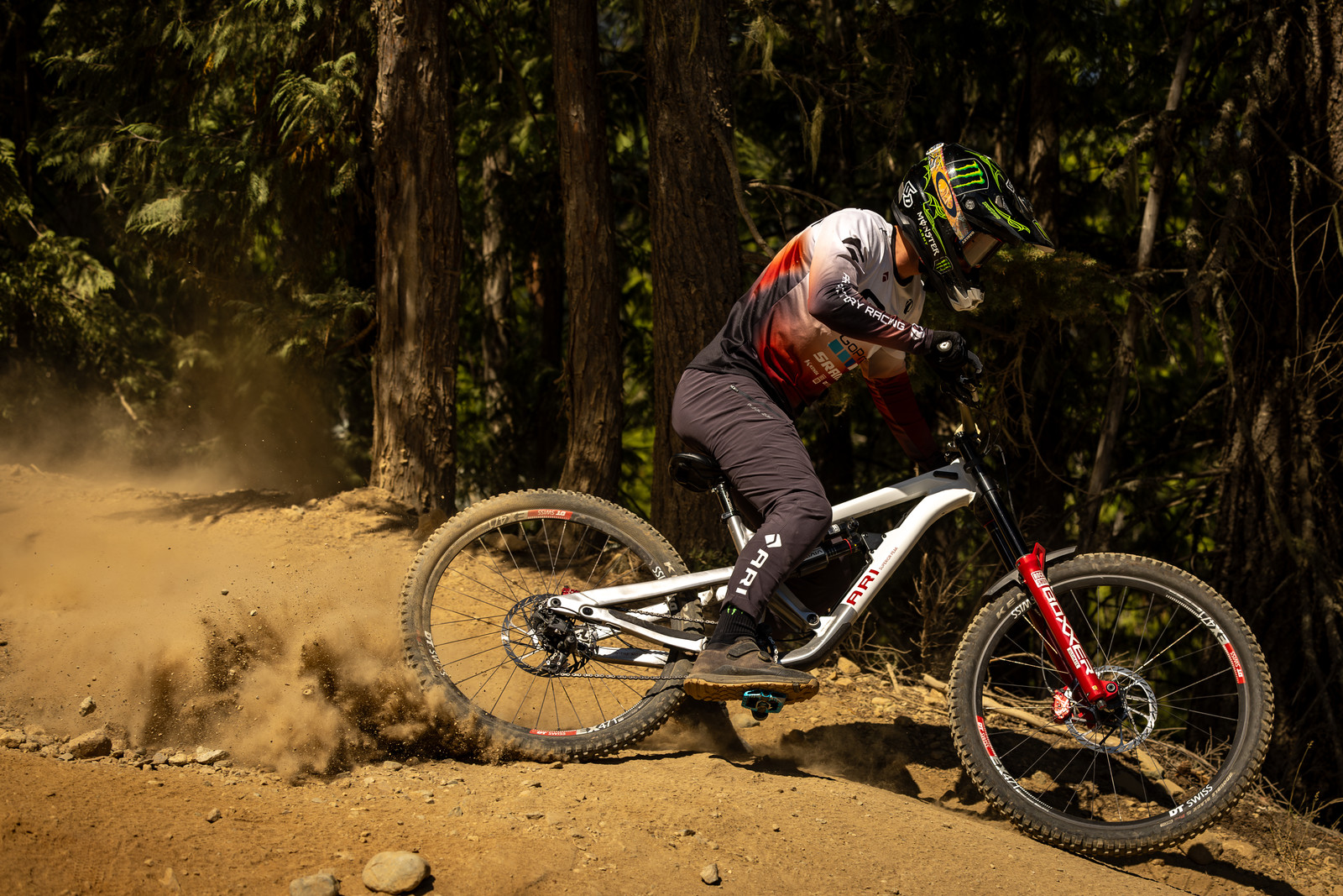Ari Releases the Superior Peak Downhill Bike - Mountain Bike Press Release  - Vital MTB, image size:1600x1067