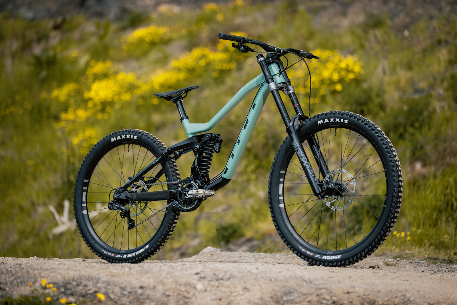 Vitus Bikes Launches the Revised Dominer 297 Downhill Bike Mountain