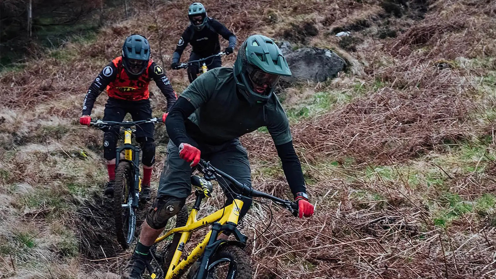 12928813-1054850305562262.jpg?VersionId=NGeZBTqSDNK8zCj6