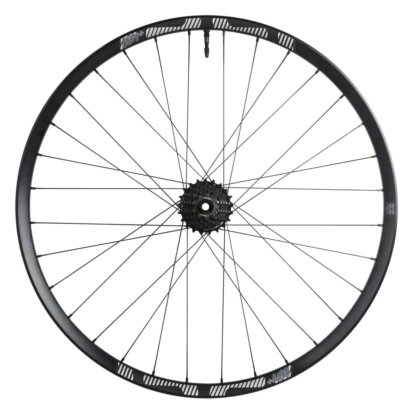 original_LG17B.jpg?VersionId=