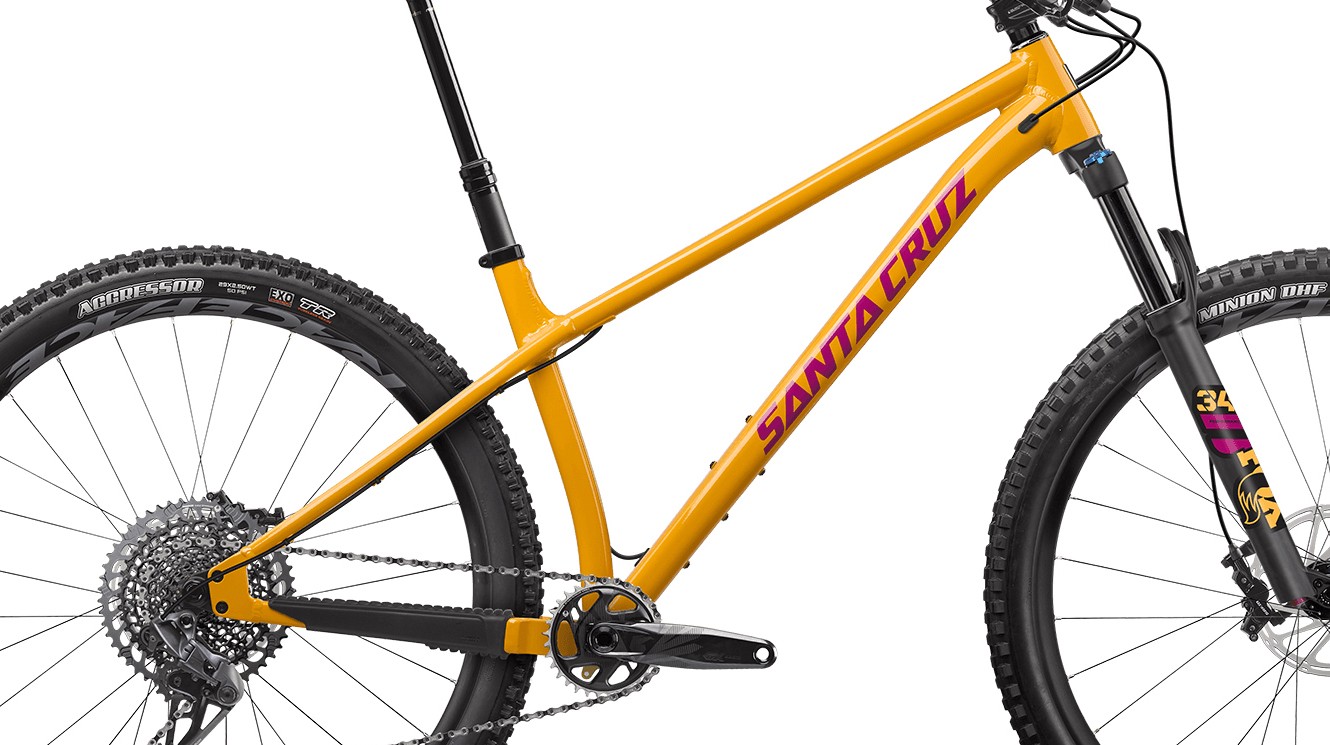 chameleon frame santa cruz