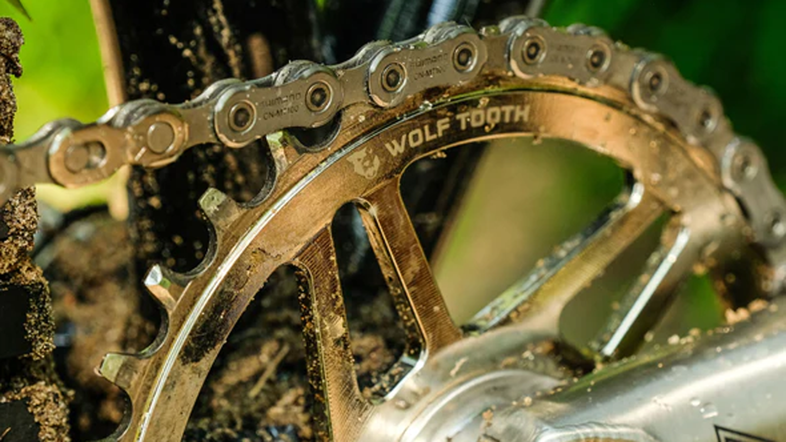 WT BST SDM 34 SH12 CC 03 590x.png?VersionId=eFslcUJFFghzpJpE4DjnSEA.e