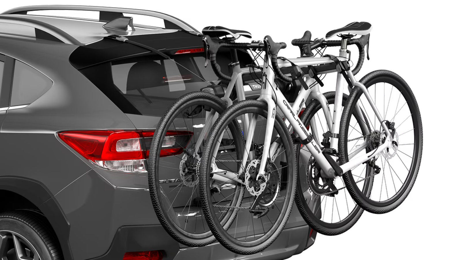 1390227.png?VersionId=HxbYhJ0pfgN4mNkqTMji