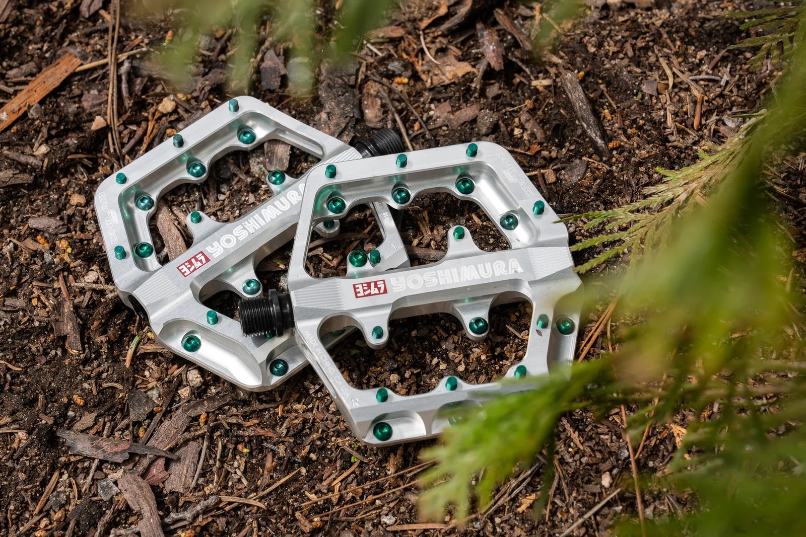 ChilaoSS Large Silver 240329 web-2