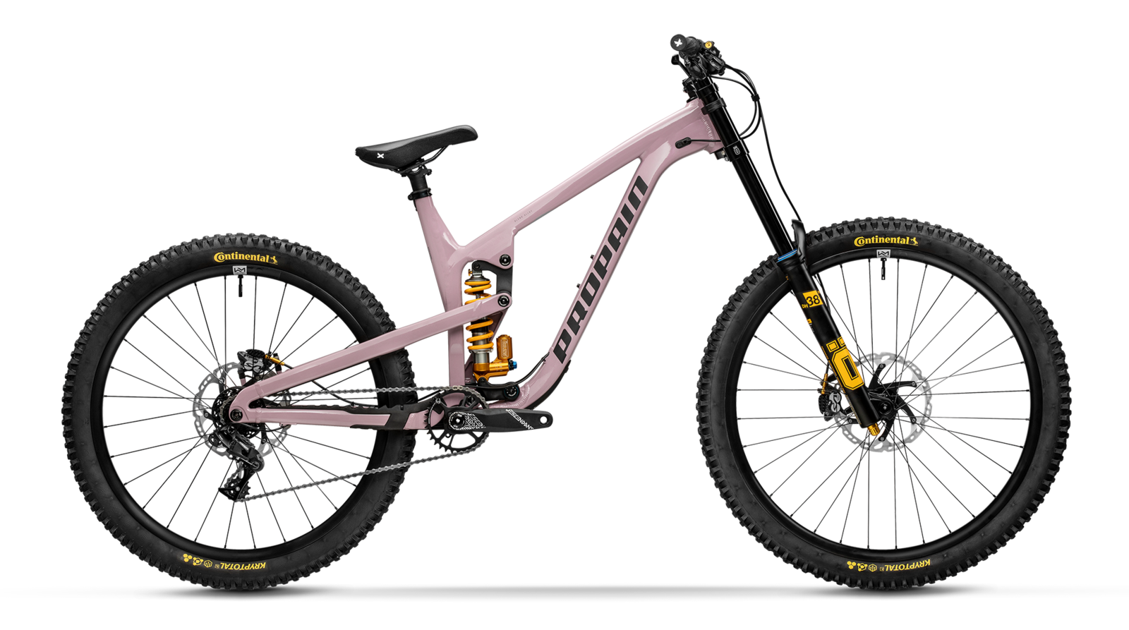 gold lavender 01.png?VersionId=OoH4p