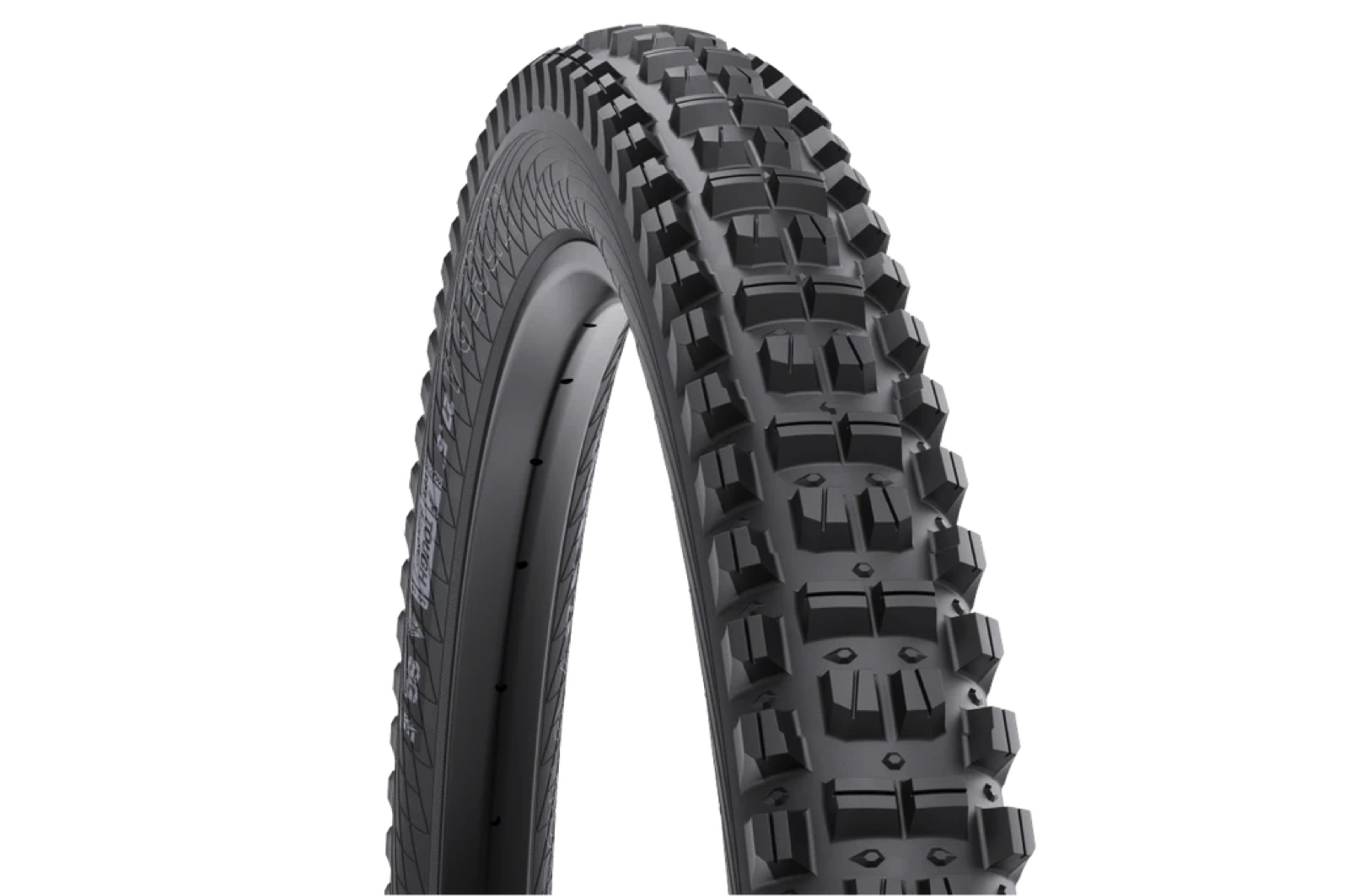 Screen Shot 2024-10-24 at 11.58.34 AM copy 4