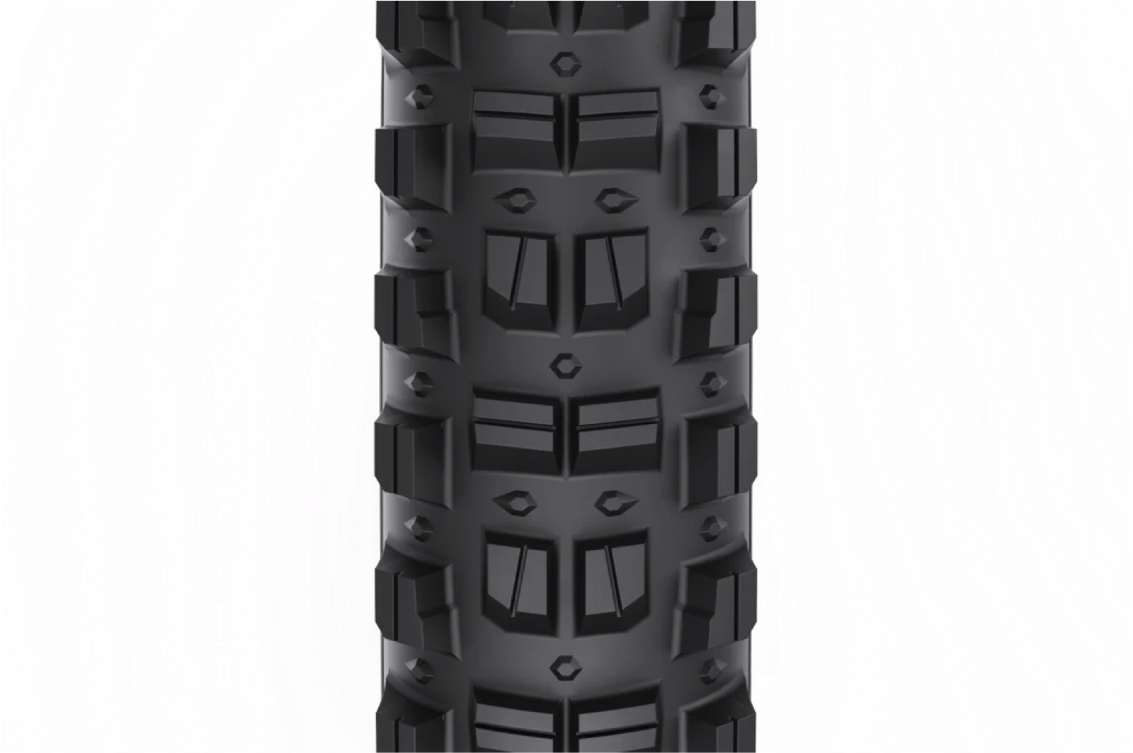 Screen Shot 2024-10-24 at 11.58.34 AM copy