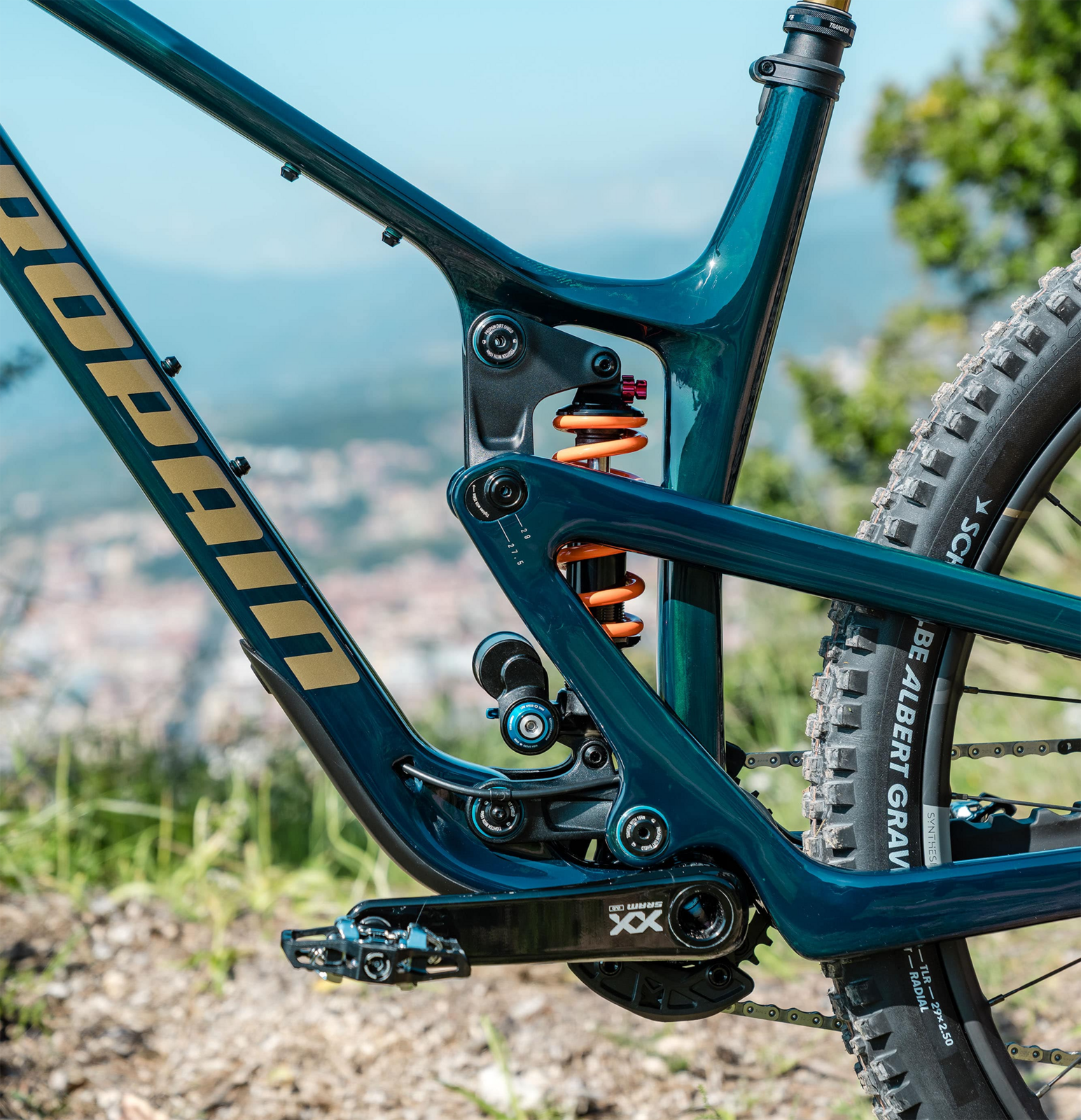 cf detail.png?VersionId=zG78jy9IQ 0ppoi