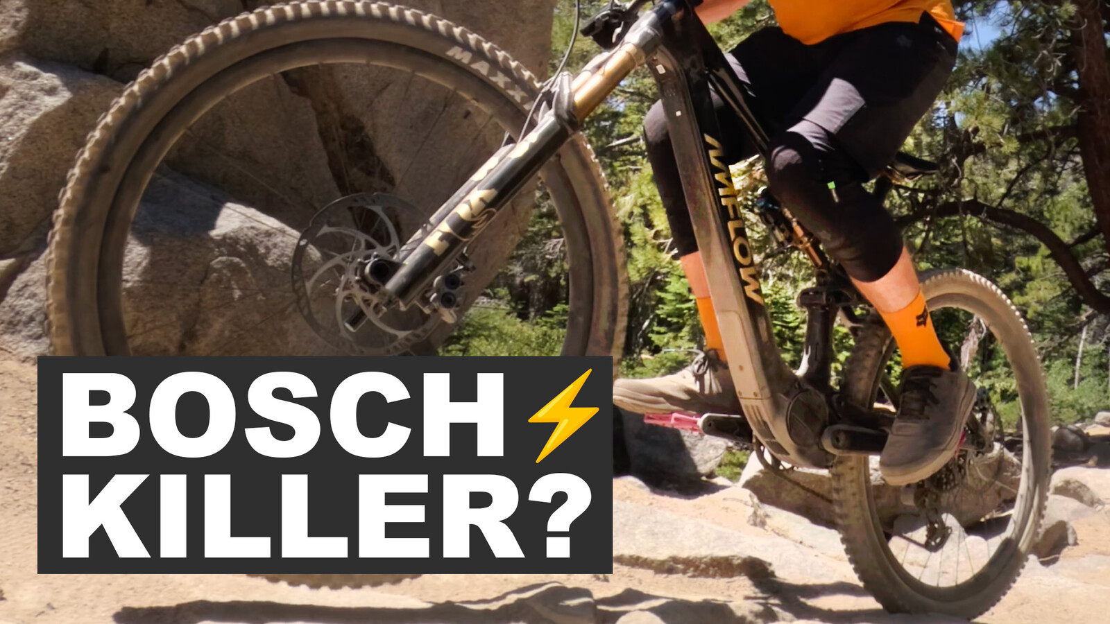 www.vitalmtb.com