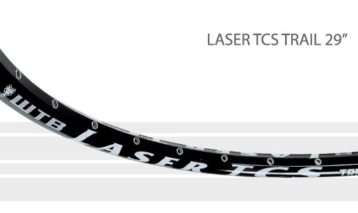 wtb laserdisc trail 29er