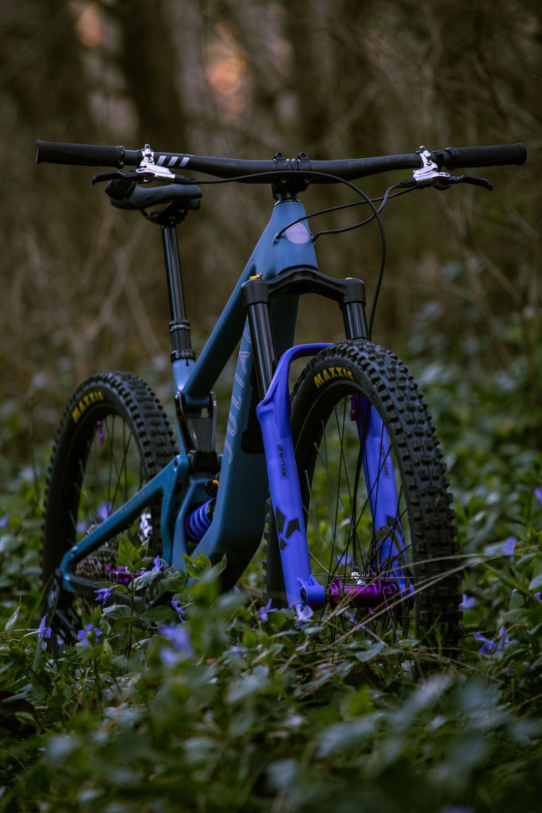 IMG 3530.jpeg?VersionId=YA0xBHXMDh