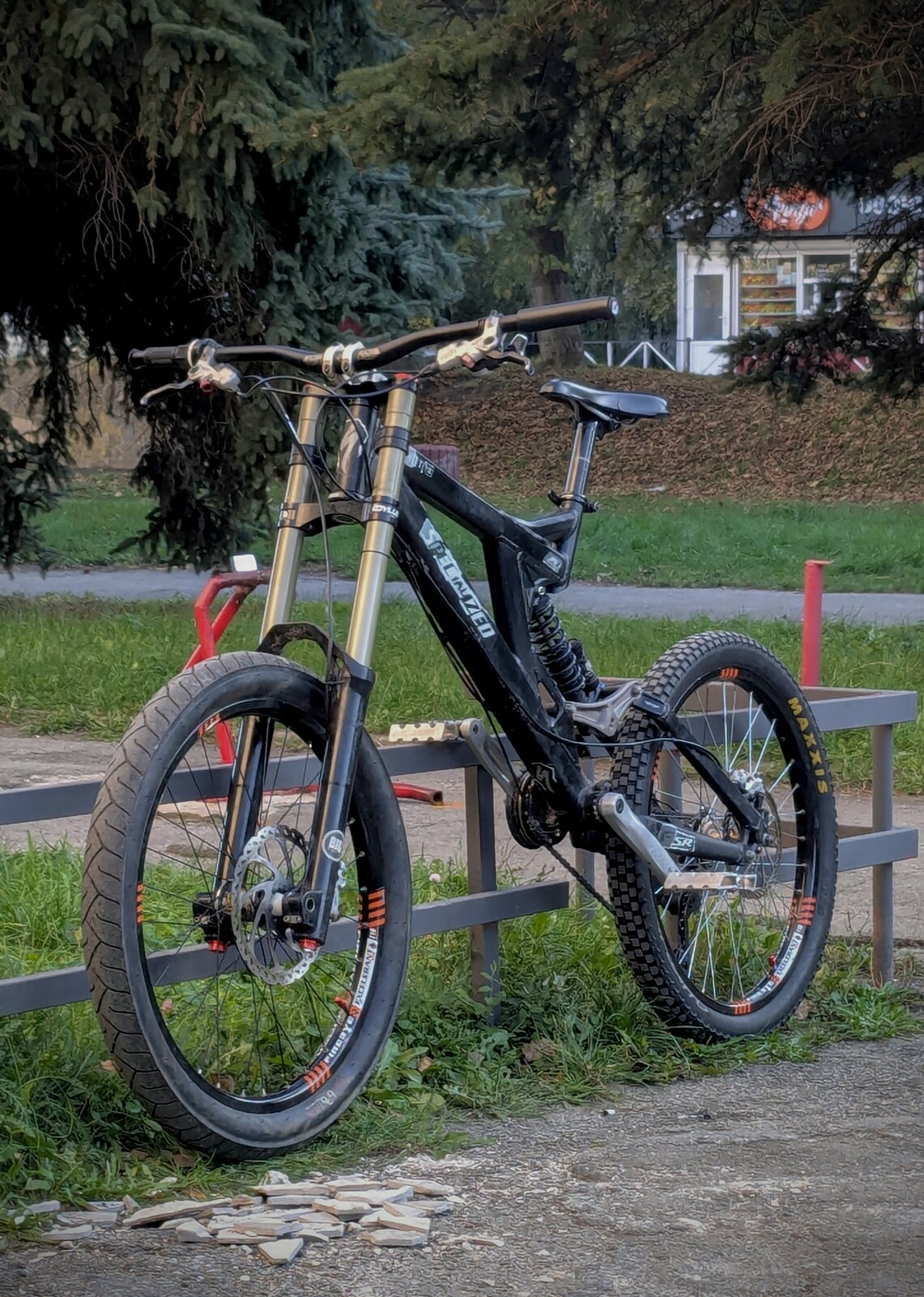 Specialized Big Hit 2 - Alex_Melnik's Bike Check - Vital MTB