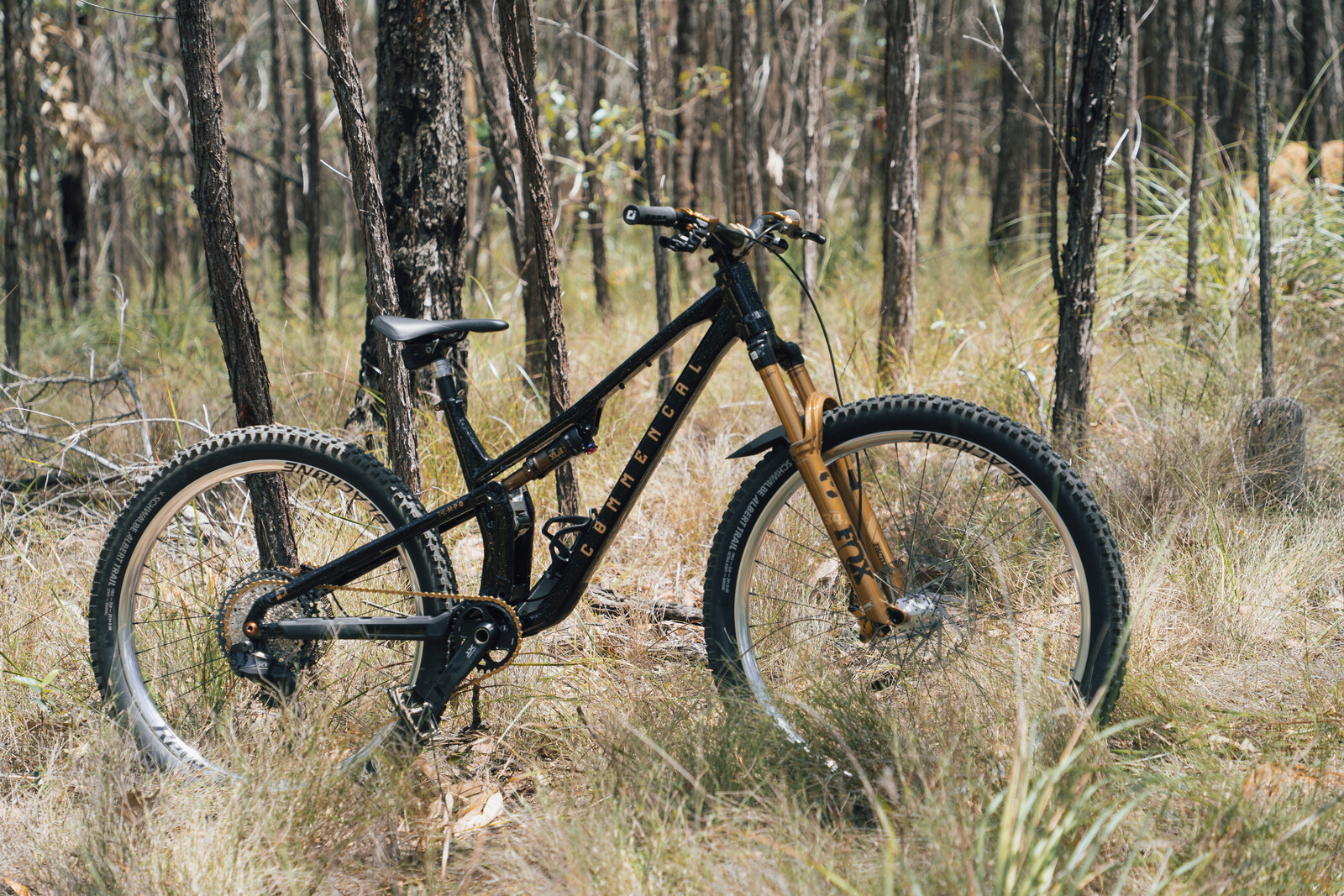 DSC09848 22.jpg?VersionId=dd42ZbZf1D5KCEhduqc .y