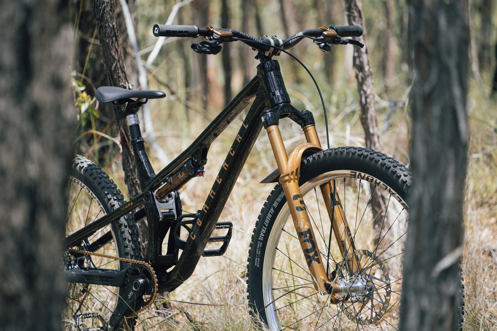 DSC09850 22.jpg?VersionId=