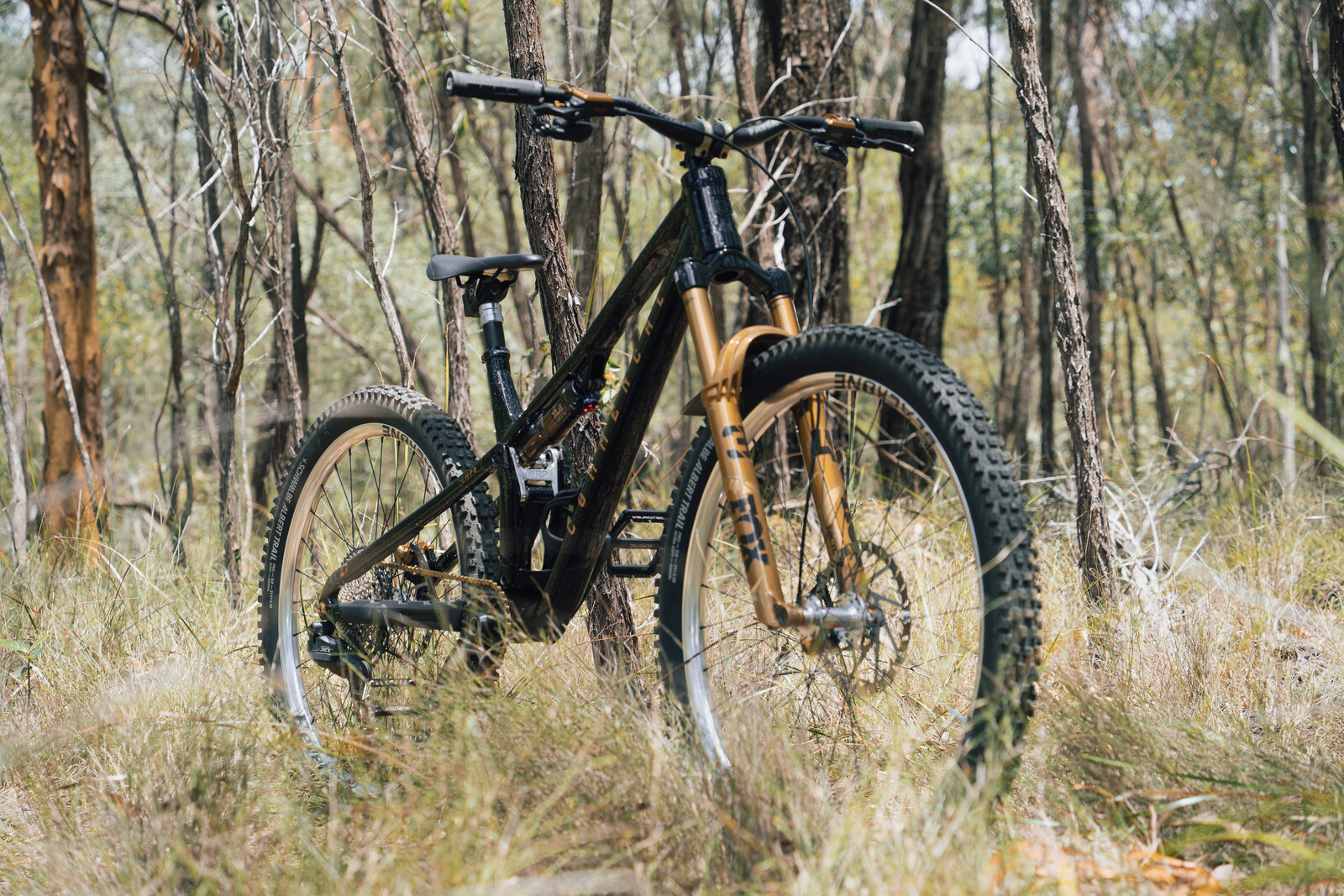 DSC09852 22.jpg?VersionId=wmi93BNn3uuKR2eD8vq1yZkp6CQKQR