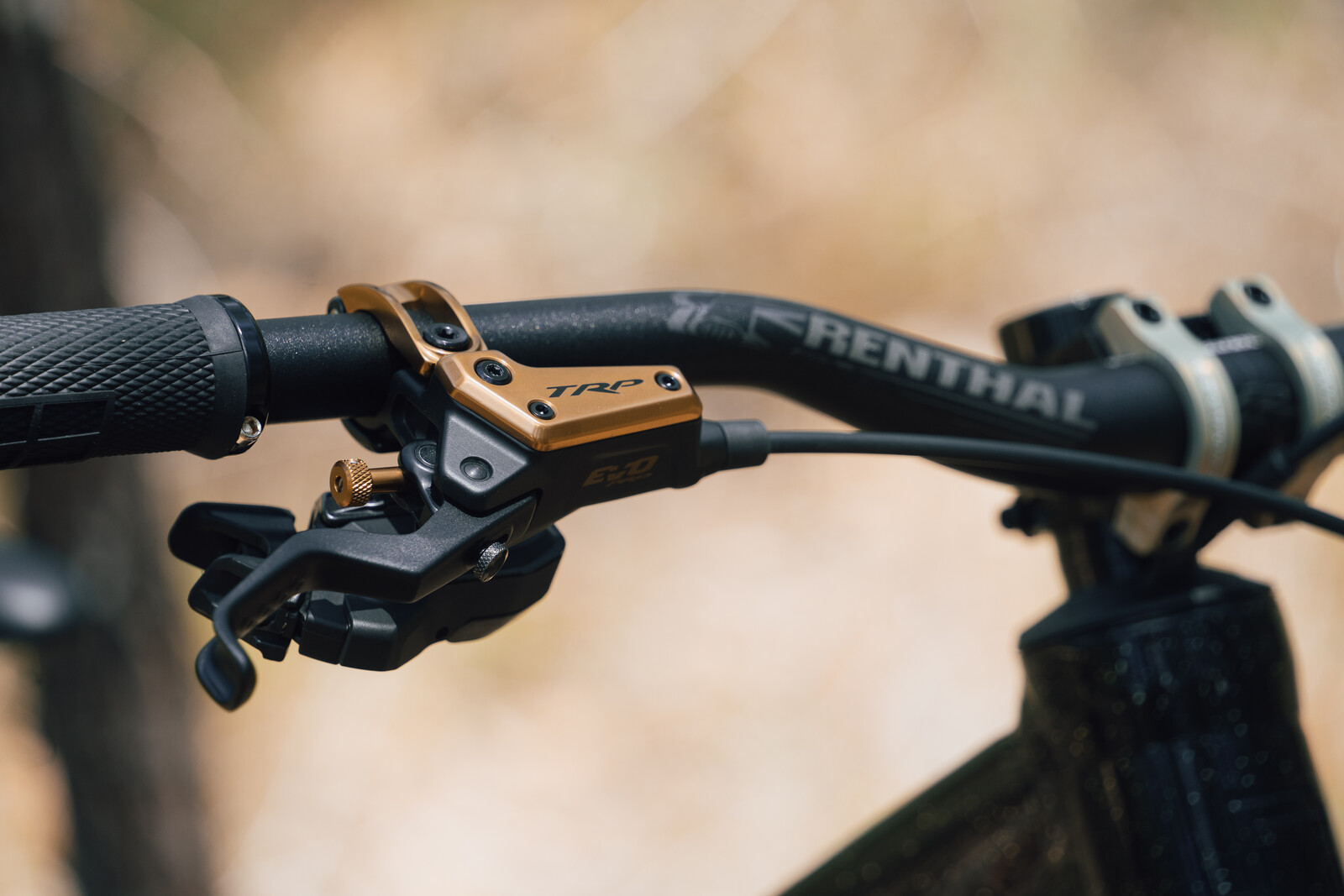 DSC09855 22.jpg?VersionId=EAi2StUi6l5zyUf