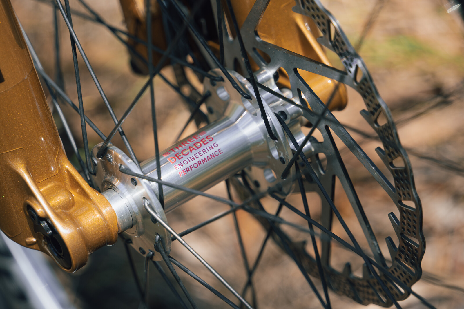 DSC09858 22.jpg?VersionId=2huxOmaJk