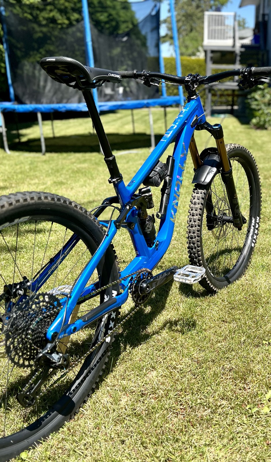PENALTY - ペナルティ　ココリーニャ CYN 2024 Knolly Chilcotin 155 - The Blue Bomber