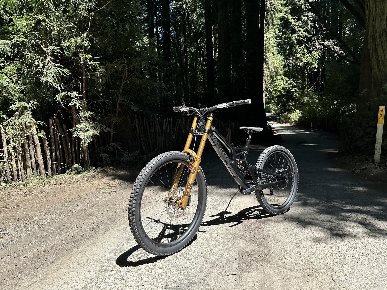 Santa-Cruz-Heckler-LT-Linkage-