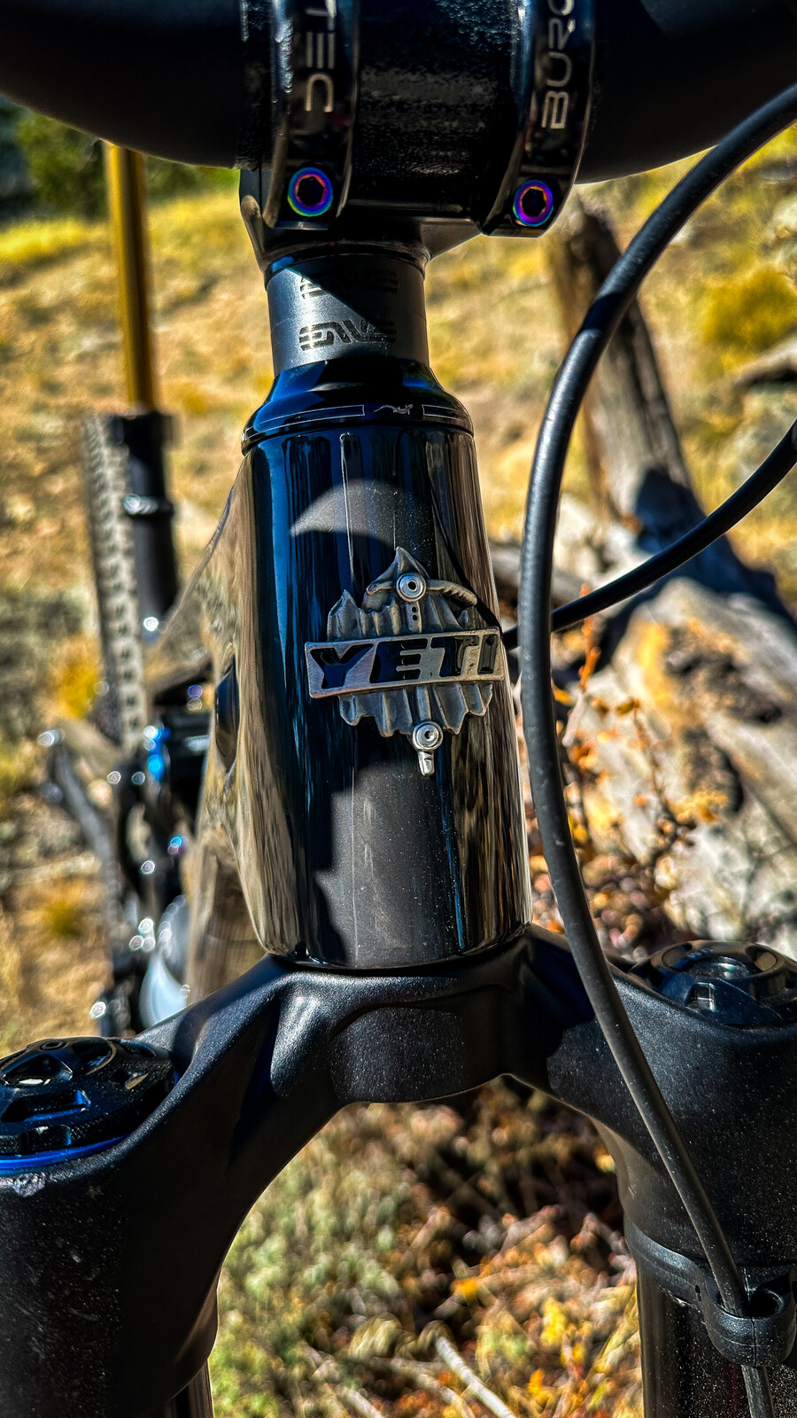 IMG 2660.JPG?VersionId=hLIb1aTo.opObc