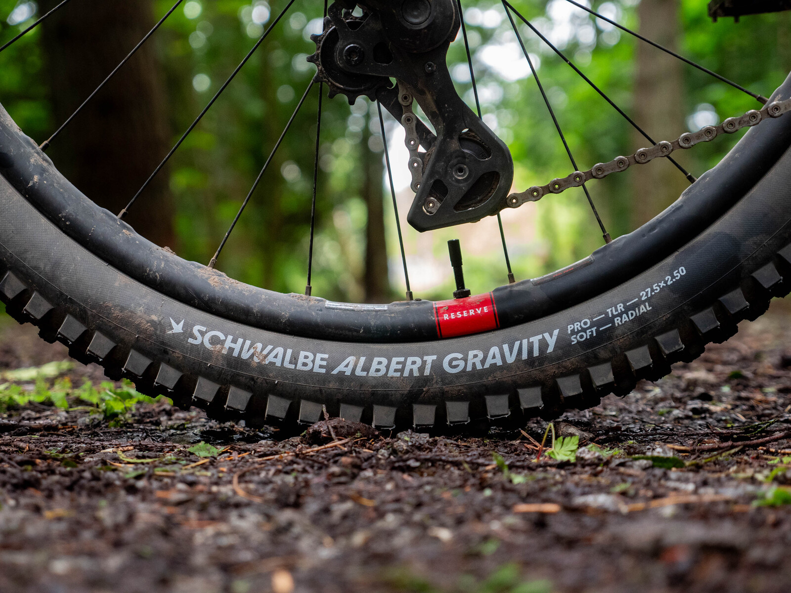 P1200101.jpg?VersionId=xAL 7Pa1r7giCnqkd660UPhLxALrdAJ