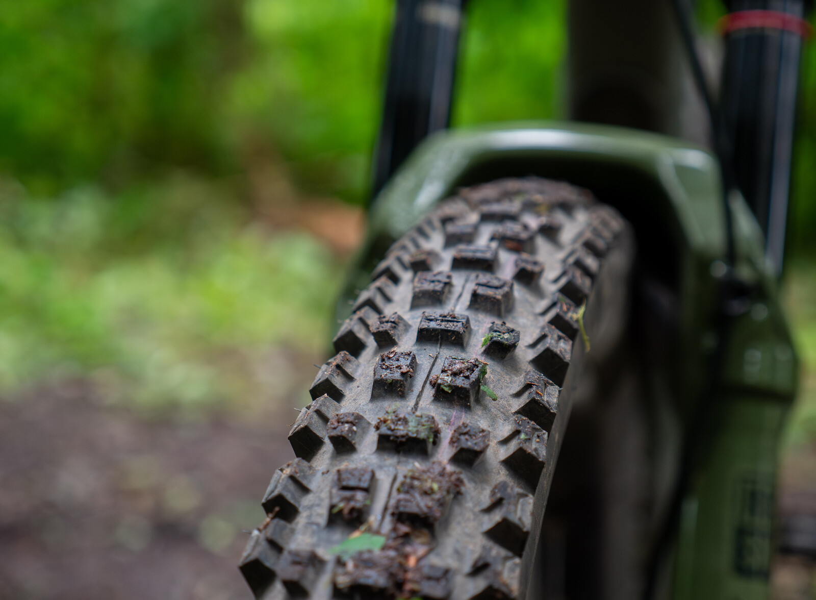 P1200105-Enhanced-NR.jpg?VersionId=JoZ5nr4lQw485NumjB9Srv6CnsEFh