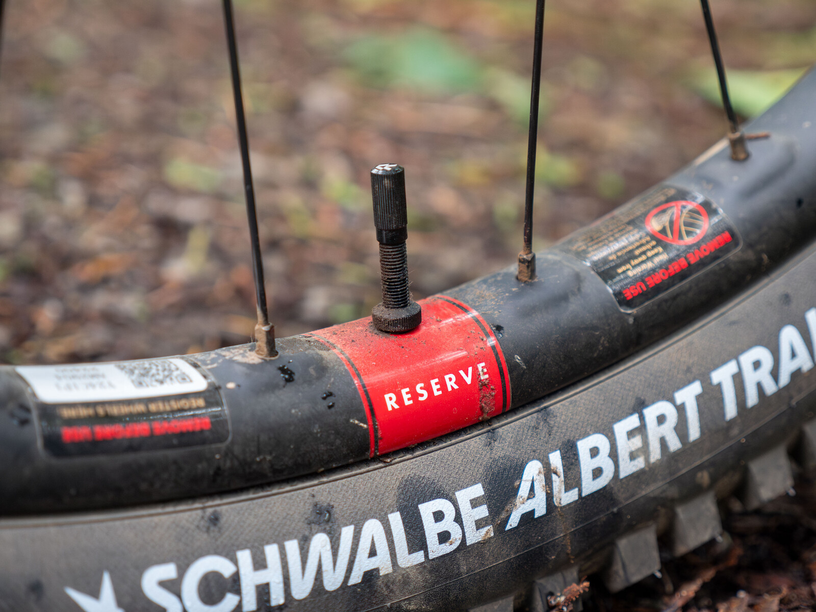 P1200126-Enhanced-NR