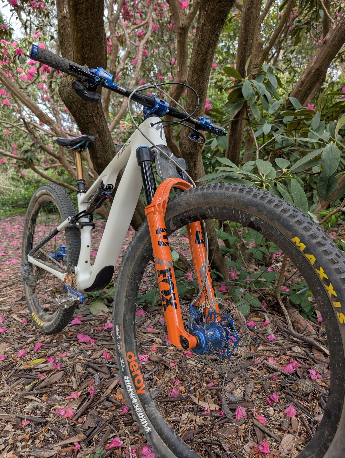 PXL 20250506 232812296.jpg?VersionId=C7idN0mNFgvVnnqAOJOpiWJepXZzTJ5